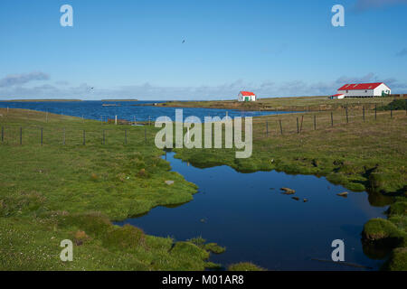 Wirtschaftsgebäude in der Siedlung an der Küste der Bleaker Island auf den Falkland-Inseln Stockfoto