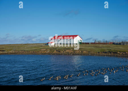 Wirtschaftsgebäude in der Siedlung an der Küste der Bleaker Island auf den Falkland-Inseln Stockfoto