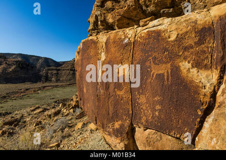 Felszeichnungen von Spiel Tier in der Wüste varning auf einer Klippe hoch über Nine Mile Canyon, Utah, USA Stockfoto