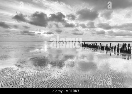 Schwarz-weiß Bild von Schlamm ebenen Landschaft einer teils bewölkte Himmel in einem flachen Meer reflektiert werden, mit alten verwitterten Holzpfähle. Stockfoto