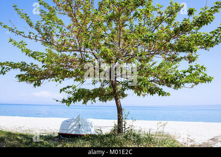 Einsamer Baum an einem Strand mit umgedreht Boot in seinem Schatten Stockfoto