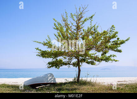 Einsamer Baum an einem Strand mit umgedreht Boot in seinem Schatten Stockfoto