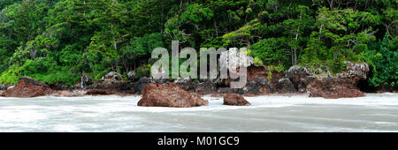 Regenwald bis an den Strand von Cape Hillsborough National Park, North Queensland Australien Stockfoto