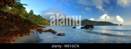 Regenwald bis an den Strand von Cape Hillsborough National Park, North Queensland Australien Stockfoto