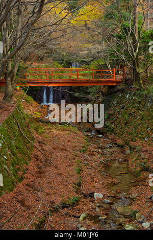 Sanzen-Brücke und Stream in Ohara, Japan im Herbst Stockfoto