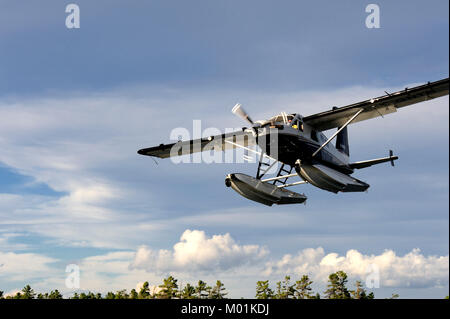 Die de Havilland turbo Beaver ist eine aktualisierte Version von der DHC-2, die über ein Pferd in den kanadischen Norden. Stockfoto