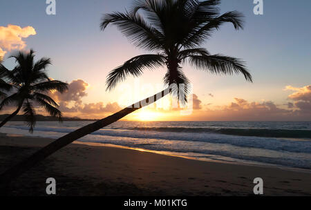 Sonnenuntergang, Paradise Strand und Palmen, Martinique Insel. Stockfoto