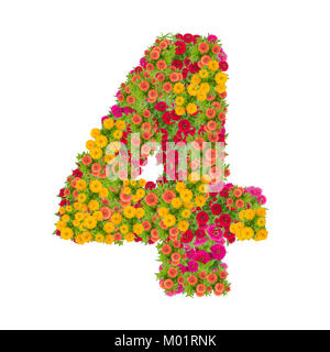 Nummer 4 von zinnien Blumen auf weißem Hintergrund gemacht. Farbenfrohe zinnia Blume in Nummer vier Form mit Freistellungspfad Stockfoto
