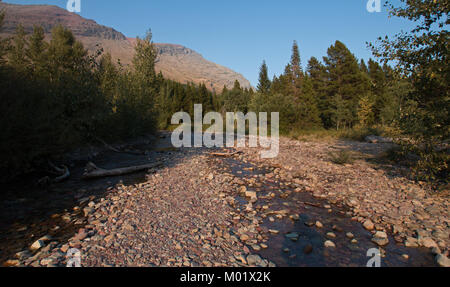 WILBUR CREEK AM SWIFTCURRENT WANDERWEG in der Nähe von FISHERCAP SEE IN DER VIELE GLETSCHER REGION DES GLACIER NATIONAL PARK WÄHREND DER 2017 FALLEN BRÄNDE IN M Stockfoto