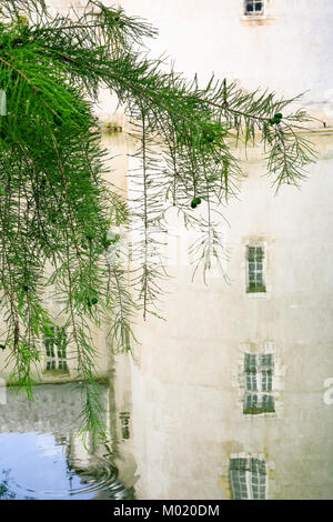 SULLY-SUR-LOIRE, Frankreich - 9. JULI 2010: Grüne Zweig über Burggraben mit Reflexion der Turm Schloss de Sully-sur-Loire. Das Fort ist das Renaissance Schloss suchen Stockfoto