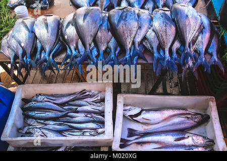 Frische Fische zum Verkauf auf einem Straßenmarkt in Valparaiso, Chile, Südamerika Stockfoto