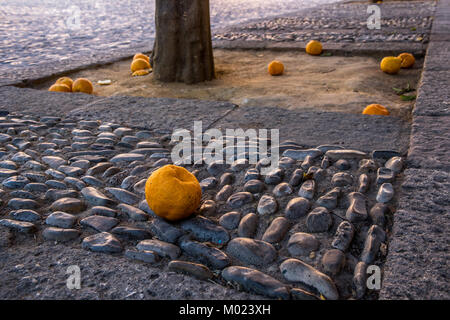 RONDA, Andalusien/Spanien - 08. OKTOBER 2017: Orangen auf Felsen Stockfoto