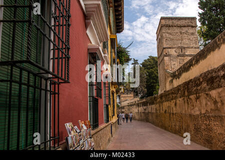 Sevilla, Andalusien/Spanien - 13. OKTOBER 2017: Gasse in der Altstadt von Sevilla. Stockfoto