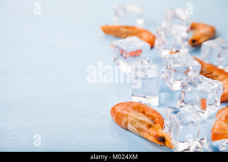 Frische Garnelen auf Eis auf der blauen Tabelle, Ansicht von oben. Kulinarisches Meeresfrüchte essen. Stockfoto