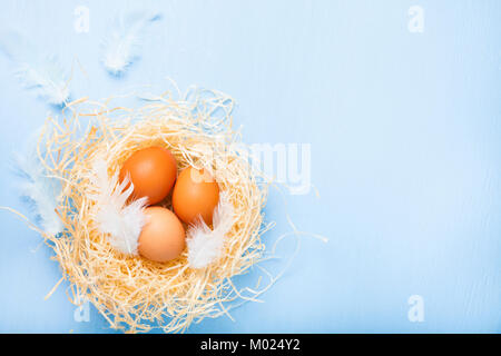 Ostereier im Nest und Federn auf Farbe Holz- Hintergrund. Ostern noch Leben mit Nest, Federn und Eier. Stockfoto