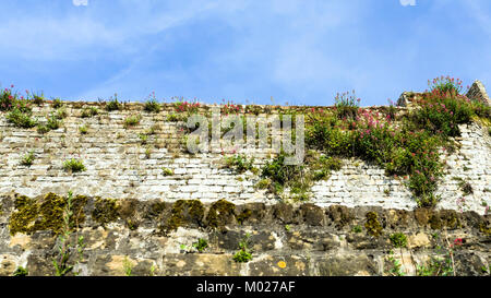 Reisen nach Frankreich - alte Mauer der befestigten Stadt rund um die Altstadt von Boulogne-sur-Mer im Sommer morgen Stockfoto