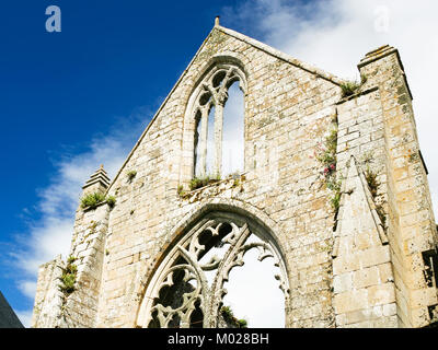 Reisen nach Frankreich - ruiniert Wand der Kirche von Abbaye de Beauport (Abtei) in Kerity Bezirk von Paimpol Stadt im Cotes-d'Armor in der Bretagne in s Stockfoto