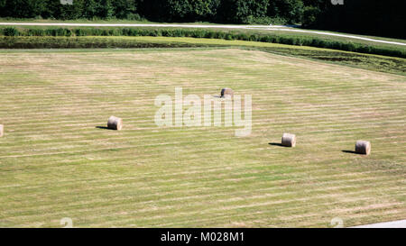 Landschaft - vor Ansicht des gepflegten Rasen mit Gras Ballen im Val de Loire Region in Frankreich im Sommer Tag Stockfoto