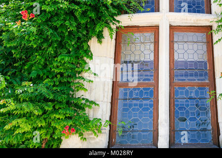 Reisen nach Frankreich - alte Fenster und Grünen bindweed Anlage an der Wand der Country House in Chenonceaux Dorf im Val de Loire Region Stockfoto