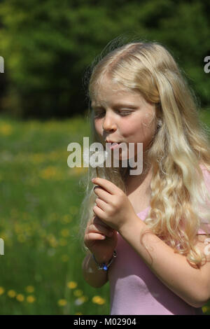 Eine junge blonde Haare Mädchen bläst Blütenblätter aus Blume Stockfoto