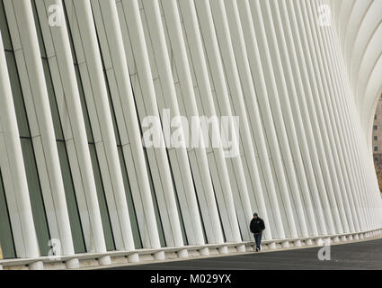 Person Wanderungen entlang der gerippten Glas Wand des Oculus Mall des World Trade Center in Manhattan, New York City. Stockfoto