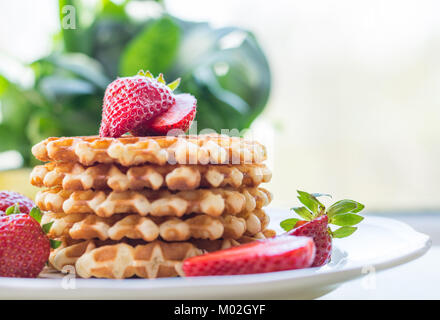 Belgische Waffeln mit strawbery auf weiße Platte. Close Up. Stockfoto