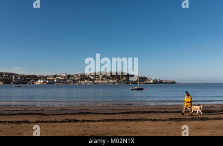 Suche in Appledore von instow North Devon Stockfoto