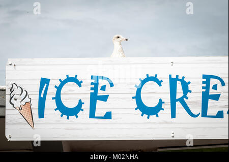 Eine Möwe über der Oberseite eines Eis Zeichen gegen den blauen Himmel an der Küste in Littlehampton, West Sussex. Stockfoto