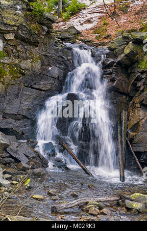 Mountain River im frühen Frühling. Kaskaden auf der Weichsel am Hang des Barania Góra in den Schlesischen Beskiden. Polen Stockfoto