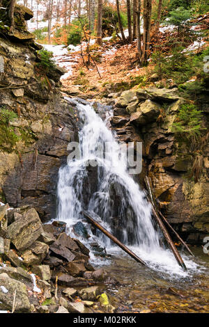 Mountain River im frühen Frühling. Kaskaden auf der Weichsel am Hang des Barania Góra in den Schlesischen Beskiden. Polen Stockfoto