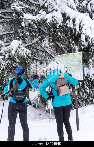 Zwei Frauen Skifahrer auf der Suche nach einem Cross-country Route auf der Karte an. Jakuszyce, Riesengebirge, Riesengebirge, Polen, Europa. Stockfoto