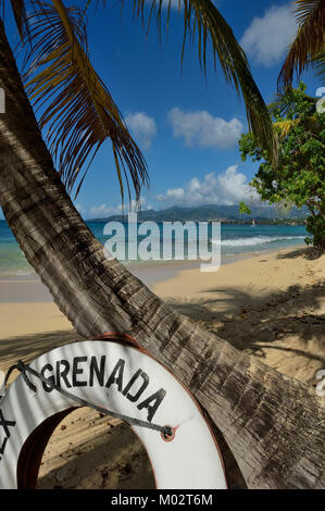 Magazin Beach, Grenada, Grenadinen, Karibik Stockfoto