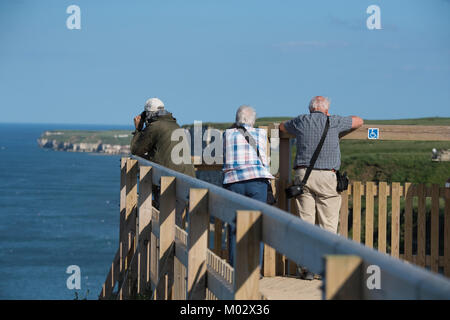 Cliff - Ansicht von oben für die Gruppe von 3 Personen (ornithologen) mit Kameras und Ferngläser an einem sonnigen Tag - Bempton Cliffs RSPB Reservat, East Yorkshire, England, UK. Stockfoto