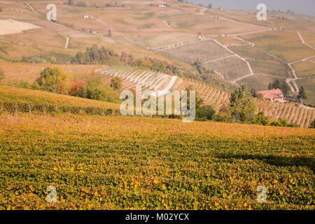 Barolo, Piemont, Italien: Weinberge und die Landschaft rund um La Morra und Barolo im Herbst warme Sonntag Nachmittag, Sonnenschein Stockfoto