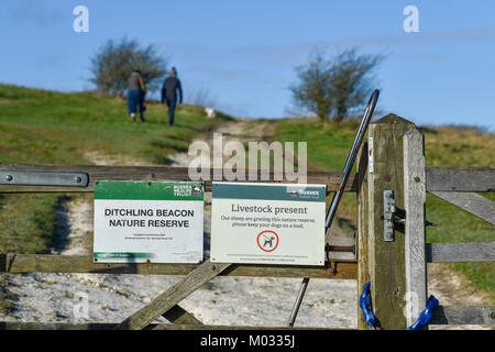 Brighton UK vom 18. Januar 2018 - Ditchling Beacon Naturschutzgebiet auf der South Downs Way Nördlich von Brighton Stockfoto