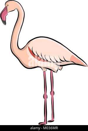 Hand gezeichnet Vogel Flamingo, Vektor Stock Vektor