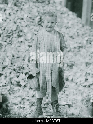 Winzig, sieben Jahre alten Oyster shucker (Henry's Schwester, Nr. 3291) nicht in die Schule gehen. Werke stetig. In einem Jahr. Maggioni Canning Co Stockfoto