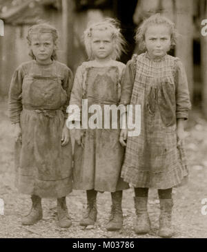 Josie, shuck sechs Jahr alt, Bertha, sechs Jahre alt, Sophie, 10 Jahre alt, alle regelmäßig. Stockfoto