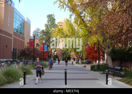 Ein Foto der California State University, Chico, das den Campus, die Architektur und das Bildungsumfeld hervorhebt. Stockfoto