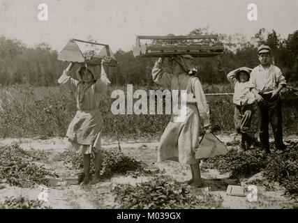 Die Mädchen Berry Träger auf Newtons Bauernhof am Cannon, Del. Stockfoto