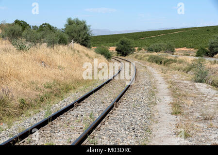 Riebeek West in der Region Swartland Südafrika. Dezember 2017. Single die Bahn durch die Landschaft und die Reben in Riebeek West läuft. Stockfoto