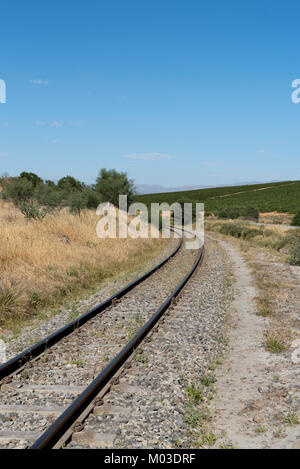 Riebeek West in der Region Swartland Südafrika. Dezember 2017. Single die Bahn durch die Landschaft und die Reben in Riebeek West läuft. Stockfoto