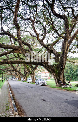 Taiping See Garten - Taiping Lake Gardens ist die erste öffentliche Garten während der britischen Herrschaft in Malaysia Stockfoto