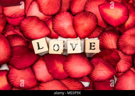 Red rose petals Hintergrund mit romantischer Liebe Nachricht Stockfoto