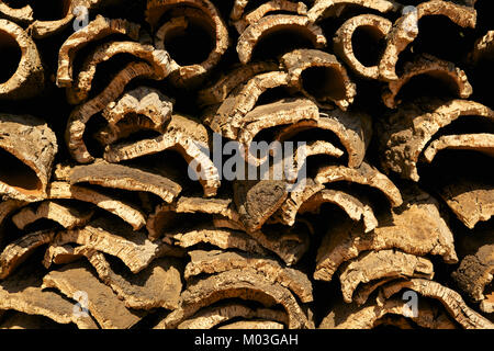 Naturkork Rinde von Korkeichen geerntet, Algarve, Portugal. Stockfoto