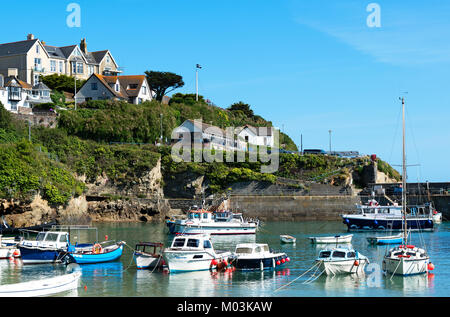 Angelboote/Fischerboote im Hafen von Newquay, Cornwall, England, Großbritannien, uk. Stockfoto
