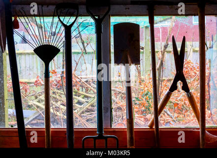 Gartengeräte Aufhängen in einem Schuppen, die Werkzeuge werden durch die Halle Fenster und Blick auf den Garten hinter, Garten Spaten, Gabel, Schere etc. sillouetted Stockfoto