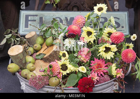 Geerntete Blumen und Holz in einem alten Zinnbad Stockfoto