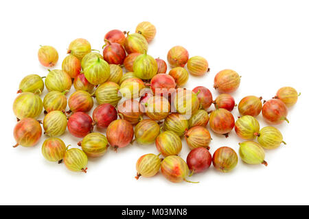 Große reife Stachelbeeren auf weißem Hintergrund Stockfoto