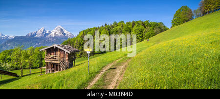 Panoramablick auf den idyllischen Berglandschaft der Alpen mit Wanderweg auf frischen grünen Almen, Blumen und alten traditionellen berg Lodg Stockfoto